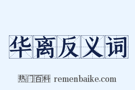 华离反义词是什么意思的图片